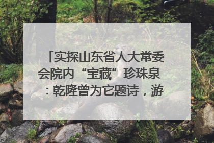 实探山东省人大常委会院内“宝藏”珍珠泉：乾隆曾为它题诗，游客无需预约免费游览